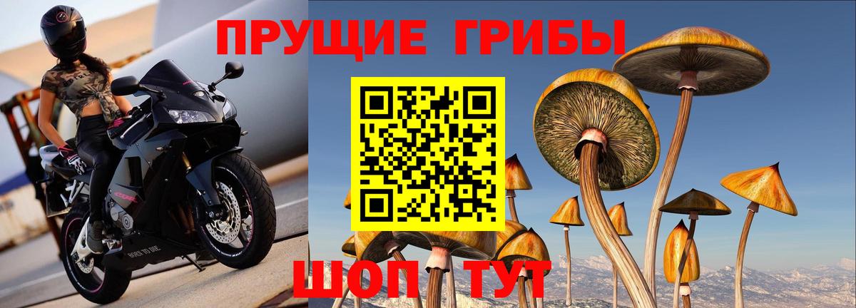 Псилоцибиновые грибы Magic Shrooms Амурск